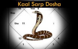 कालसर्पयोग (Kaalsarp Dosha)से मुक्ति का सरल उपाय