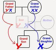 गौत्र प्रणाली :आनुवंशिक विज्ञान | Hindu Gotra System: Genetics Science