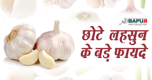 छोटे लहसुन के 13 बड़े फायदे | Surprising Health Benefits Of Garlic