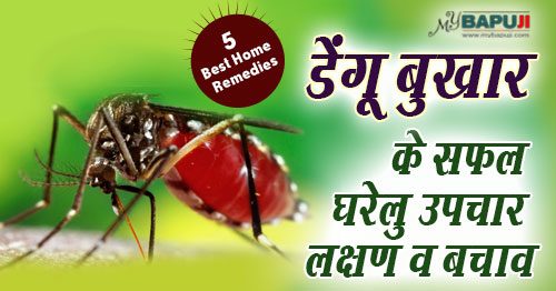 डेंगू बुखार के घरेलू उपचार, लक्षण व बचाव | Home Remedies For Dengue