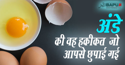 अंडे(eggs) ,अंडा(egg)229--You-Will-Never-Eat-Eggs-Again-After-Reading-This