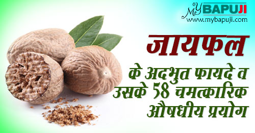 जायफल के 58 अदभुत फायदे और औषधीय उपयोग - Jaiphal Ke Fayde aur Nuksan In Hindi