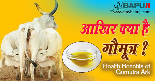 gomutra ark (Go Jharan Ark)benefits in hindi