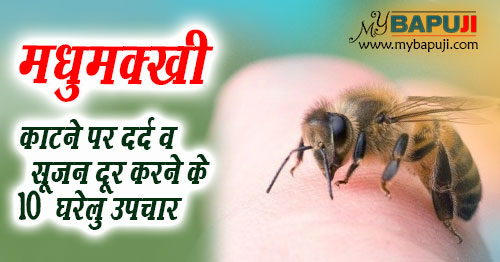 मधुमक्खी ततैया काटने पर दर्द व सूजन दूर करने के 10 घरेलु उपचार | Madhumakhi katne per Gharelu Upchar