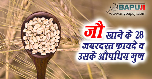 जौ खाने के 28 जबरदस्त फायदे व उसके औषधिय गुण | Benefits of Barley (jau) in Hindi