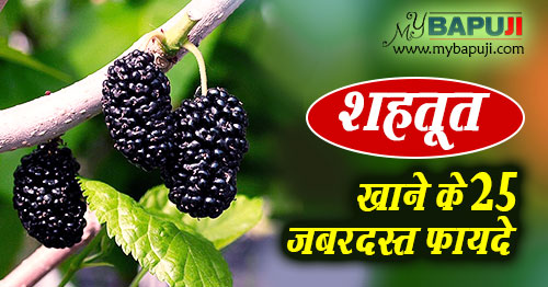 Shahtoot Ke Fayde in hindi Health Benefits Of Mulberries