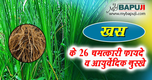 khas grass ke fayde Benefits and Uses in Hindi