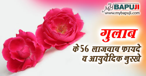 गुलाब के 56 से अधिक अनोखे फायदे व औषधीय उपयोग| Rose Benefits in Hindi