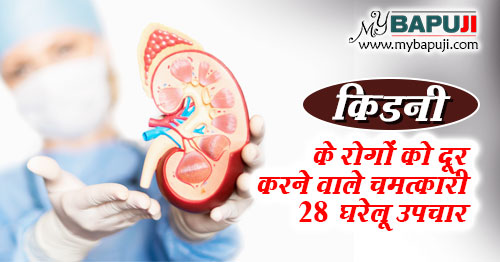 kidney rog ka ayurvedic ilaj in hindi
