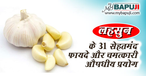 लहसुन के फायदे और नुकसान | Garlic Benefits and Side Effects in Hindi