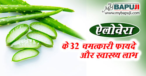 ऐलोवेरा के फायदे गुण उपयोग और नुकसान | Aloe vera Benefits and Medical Uses in Hindi