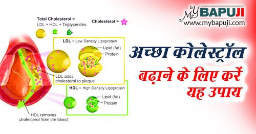 अच्छा कोलेस्ट्रॉल बढ़ाने के लिए करें यह उपाय | Acha Cholesterol ( HDL ) Badhane ke Upay