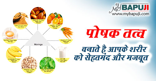 पोषक तत्वों के प्रकार उनके स्रोत और फायदे | Types of Nutrients and Their Sources