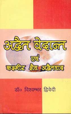 Advaita Vedanta Evam Kashmir Shaiva Darshan Hindi PDF Free Download