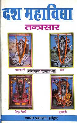 Dash Mahavidya Tantra Sara Hindi PDF free download