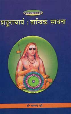 शंकराचार्य तांत्रिक साधना - Shankaracharya Tantrik Sadhana