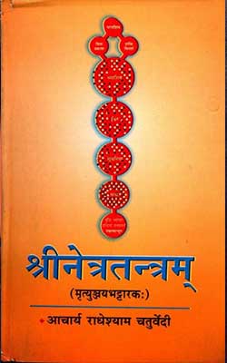 Shri Netra Tantra - Acharya Radheshyam Chaturvedi Hindi PDF free download