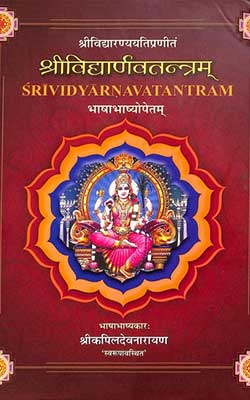 Sri Vidyarnava Tantra Purvardha Part One Hindi PDF free download