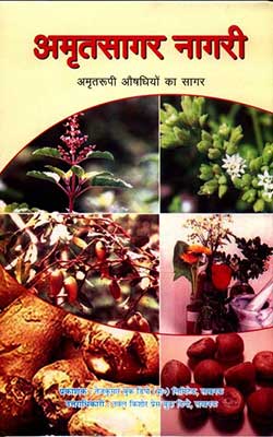 Amrit Sagar Nagari Hindi PDF Free Download