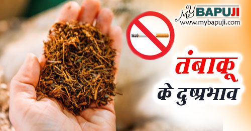 तंबाकू के दुष्प्रभाव औषधि गुण और फायदे | Tambaku ke Fayde aur Nuksan