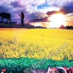 HAMARI KHETI Hindi PDF Free Download