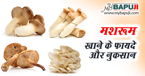 mushroom Khane ke fayde aur nuksan in Hindi