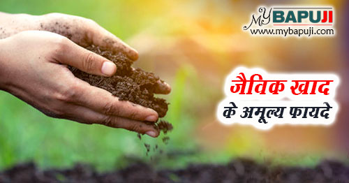 जैविक खाद के अमूल्य फायदे - Jaivik Khad ke Labh in Hindi