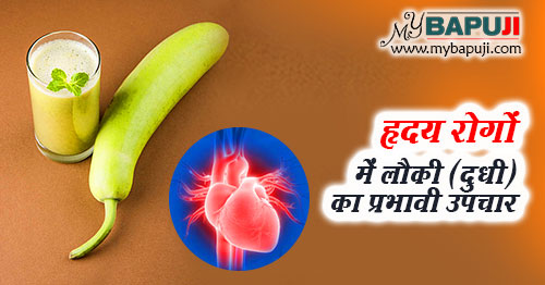 हृदय रोगों में लौकी (दुधी) का प्रभावी उपचार - Bottle Gourd Benefits In Heart Diseases