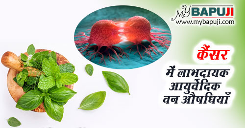 कैंसर में लाभदायक आयुर्वेदिक वन औषधियाँ - Cancer me Labhdayk Ayurvedic Aushadhiya in Hindi