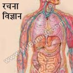 मानव शरीर रचना विज्ञान – Manav Sharir Rachna Vigyan