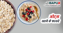 ओट्स (ओटमील) खाने के फायदे - Oats Khane Ke Fayde In Hindi – MyBapuji