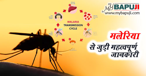 मलेरिया से जुड़ी महत्वपूर्ण जानकारी