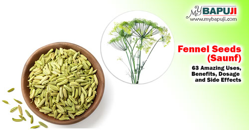 fennel seeds (saunf) Uses Benefits Dosage and Side Effects