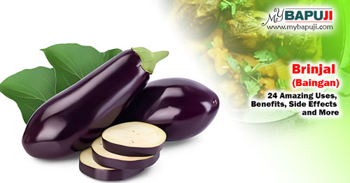 Brinjal (Baingan) 24 Amazing Uses Benefits Side Effects and More