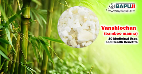 Vanshlochan (bamboo manna) 10 Medicinal Uses and Health Benefits