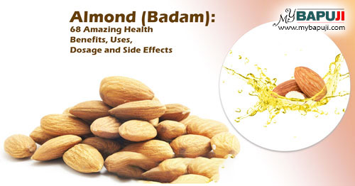 Almond (Badam) 68 Amazing Health Benefits Uses Dosage and Side Effects