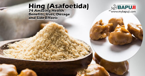 Hing (Asafoetida) 74 Amazing Health Benefits Uses Dosage and Side Effects