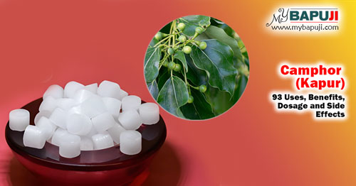 Camphor (Kapur) 93 Uses Benefits Dosage and Side Effects