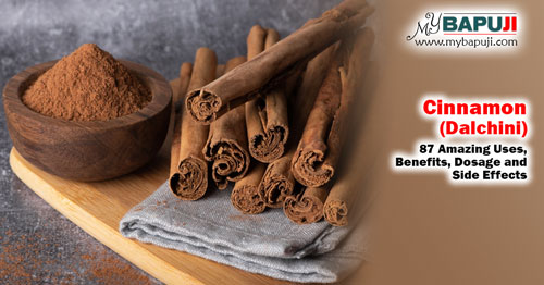 Cinnamon (Dalchini) 87 Amazing Uses Benefits Dosage and Side Effects