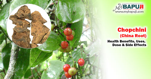 3858-Chopchini-(China-Root)-Health-Benefits-Uses-Dose-and-Side-Effects