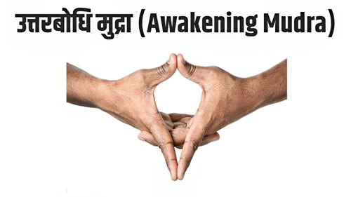 1— उत्तरबोधि मुद्रा (Awakening Mudra)