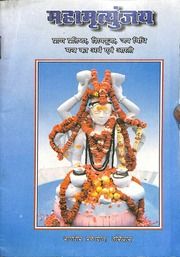 महामृत्युंजय प्राण प्रतिष्ठा एवं शिव पूजा जप विधि - Mahamrityunjay Pran Pratishtha