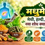 लकड़ी की कटोरियों में मेथी दाना, हल्दी की गाँठें और गिलोय की बेल, मधुमेह में मेथी व जड़ी-बूटियों का चित्र