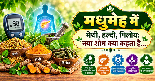 मधुमेह में मेथी, हल्दी, गिलोय: नया शोध क्या कहता है