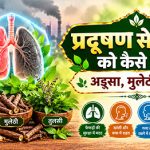 pollution se lungs kaise bachaye