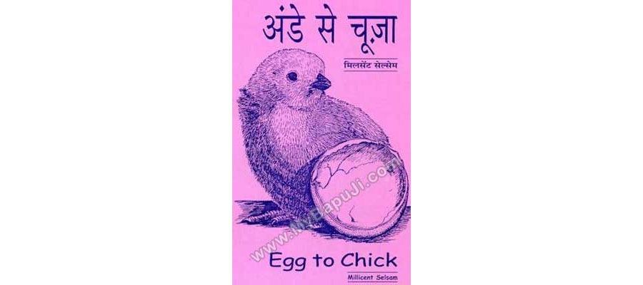 अंडे से चूजा | FROM EGG TO CHICK